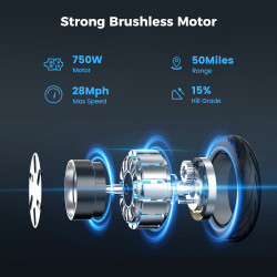 ISCOOTER i10 Max - Trottinette électrique 750W 48V 15.6AH