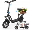 ISCOOTER i12 - Trottinette électrique 500W 36V 7.5AH