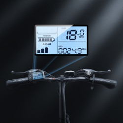ISINWHEEL U1 - Vélo à assistance électrique 250W 36V 7.8AH