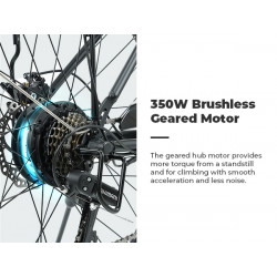 ISINWHEEL U2 - Vélo à assistance électrique 250W 36V 13AH