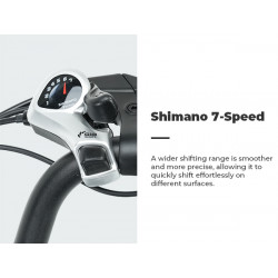 ISINWHEEL U2 - Vélo à assistance électrique 250W 36V 13AH