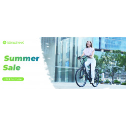 ISINWHEEL U2 - Vélo à assistance électrique 250W 36V 13AH