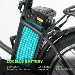 ISINWHEEL U2 - Vélo à assistance électrique 250W 36V 13AH