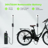 ISINWHEEL U2 - Vélo à assistance électrique 250W 36V 13AH