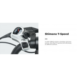 ISINWHEEL U2 - Vélo à assistance électrique 250W 36V 13AH
