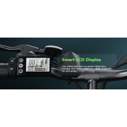 ISINWHEEL M10 - Vélo à assistance électrique 250W 36V 10.4AH