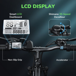 ISINWHEEL M10 - Vélo à assistance électrique 250W 36V 10.4AH