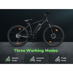 ISINWHEEL M10 - Vélo à assistance électrique 250W 36V 10.4AH
