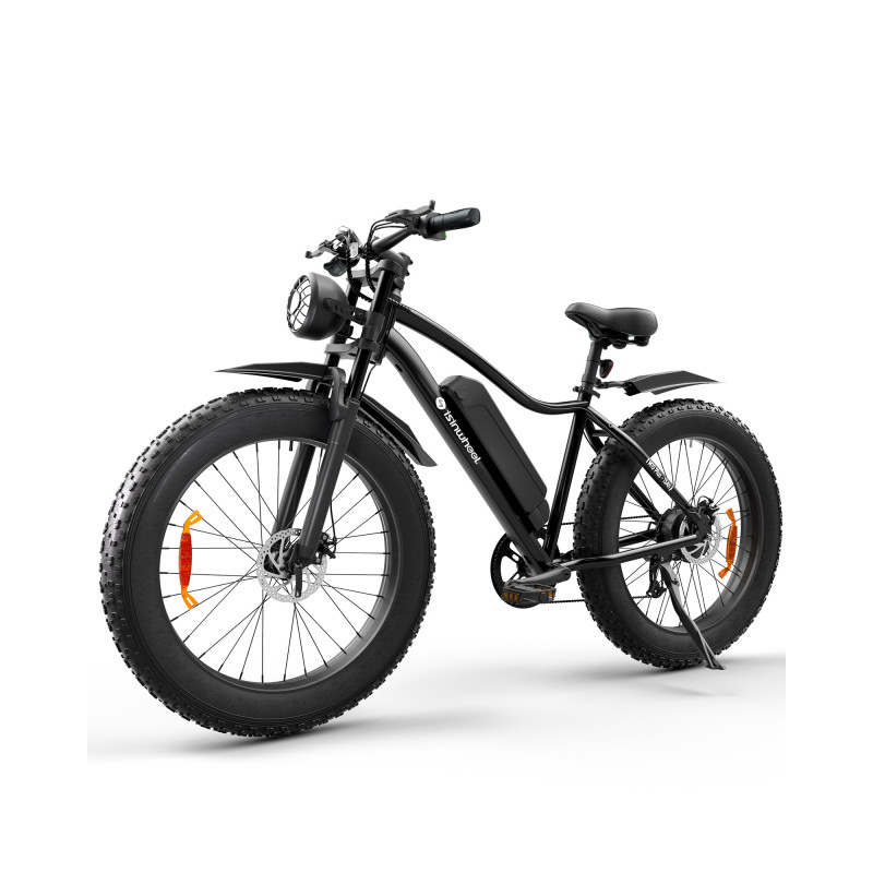 ISINWHEEL M10 Plus - Vélo à assistance électrique 250W (+750W) 48V 13AH