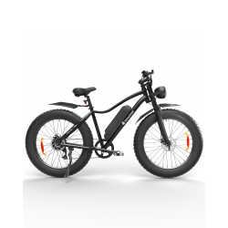 ISINWHEEL M10 Plus - Vélo à assistance électrique 250W (+750W) 48V 13AH