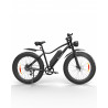 ISINWHEEL M10 Plus - Vélo à assistance électrique 250W (+750W) 48V 13AH