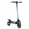 ANGWATT F1 - Trottinette électrique 1000W 48V 18.2AH