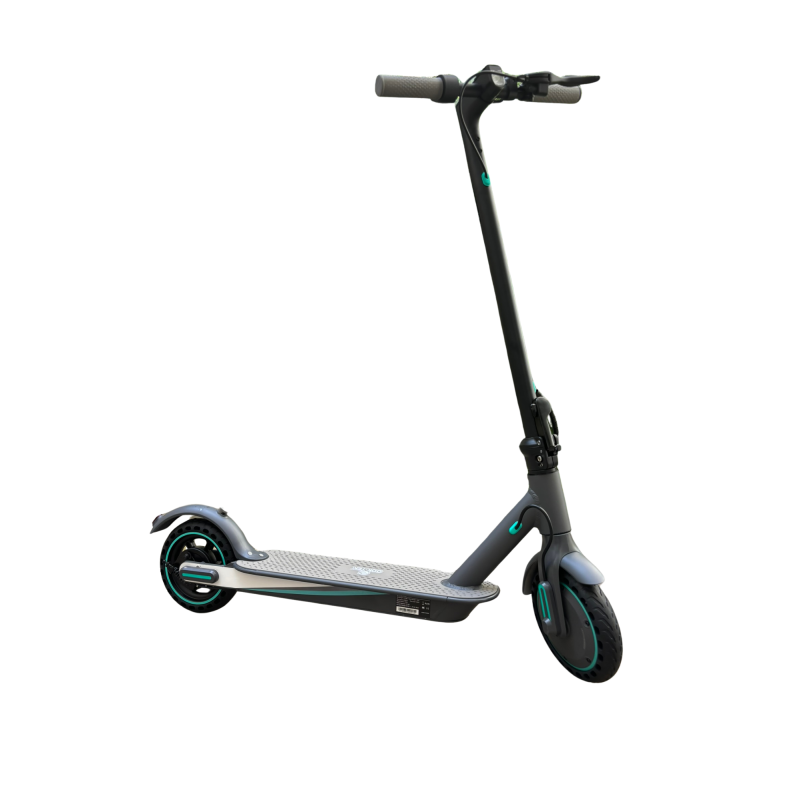 ROVER V8 (JQ88) - Trottinette électrique 350W 36V 10AH