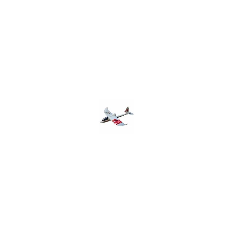 Avion télécommandé Sky Surfer X8