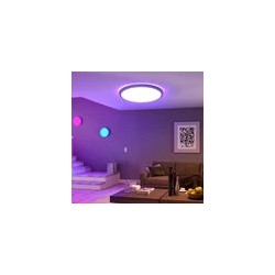 Plafonnier LED intelligent BlitzWill® BW-CLT2