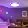 Plafonnier LED intelligent BlitzWill® BW-CLT2