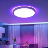 Plafonnier LED intelligent BlitzWill® BW-CLT2