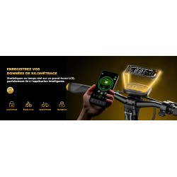 ISINWHEEL GT4 - Trottinette électrique 2*1500W 52V 20AH