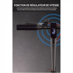 Location trottinette électrique 2 Heures AOVO-PRO/XIAOMI ES1/E9B