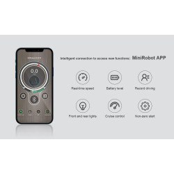 ISCOOTER i9 Pro - Trottinette électrique 350W 36V 7.5AH